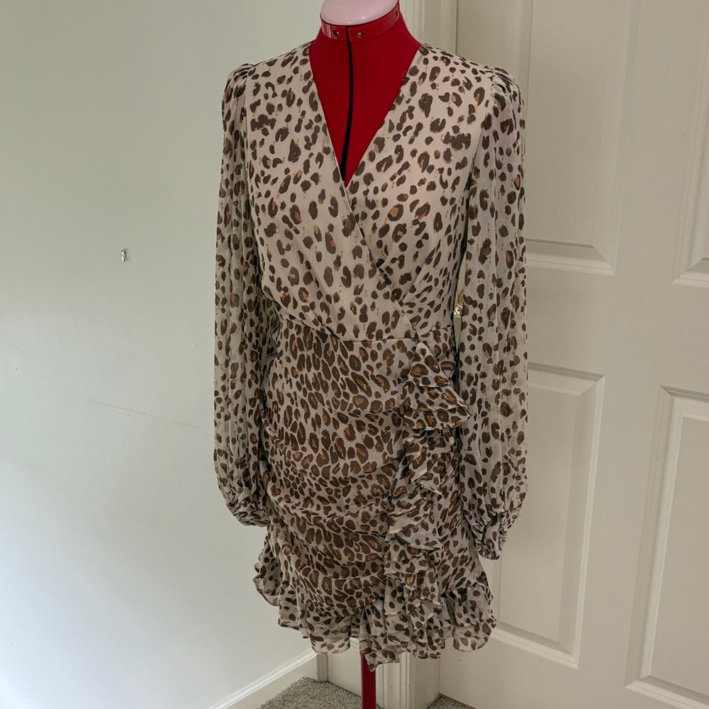 Express Animal Print Long Sleeve Dress